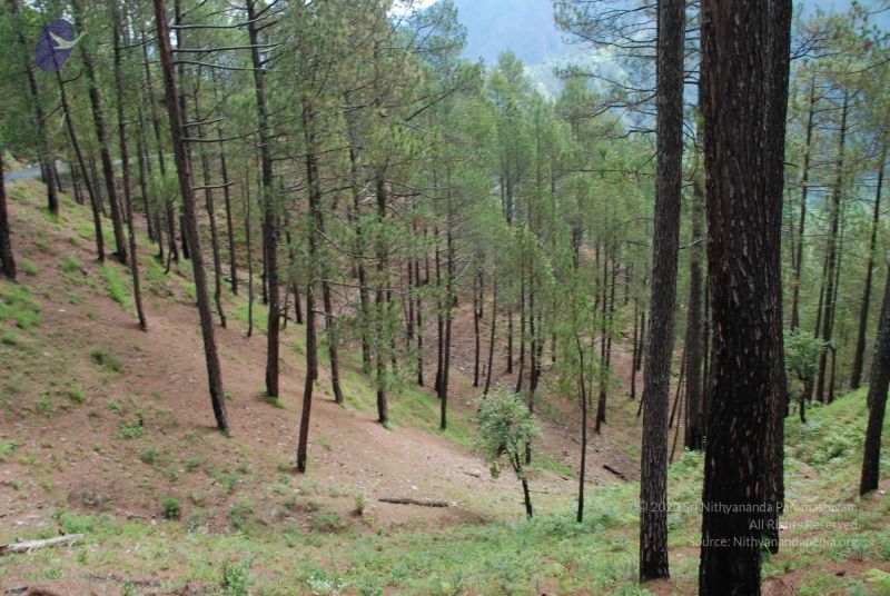 File:20080701 Photo 1656 19X5ZtAalDegjsv3W99GpR LWi5UF-Jy2.JPG