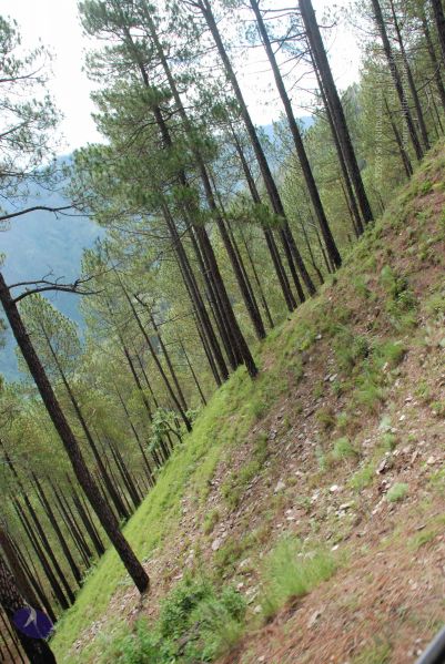 File:20080701 Photo 1659 1Xmulyc3BLGOxMCPX-R3oICMYHt2pOxh0.JPG