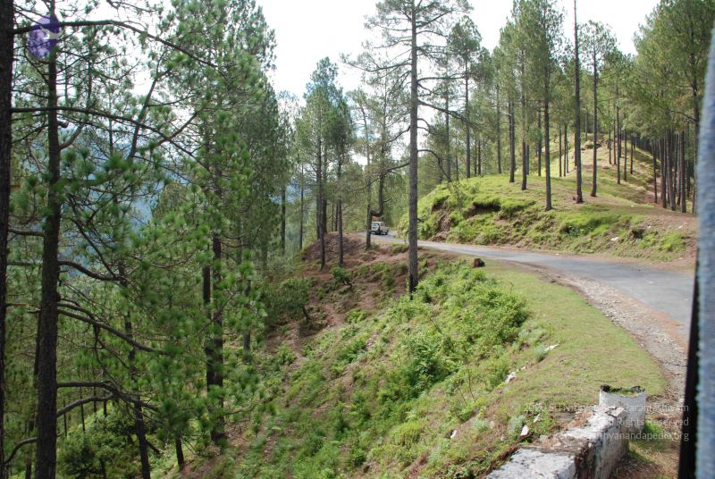 File:20080701 Photo 1662 1HW9qh9mfY5gXwudFktmW4BVsScCVue5x.JPG