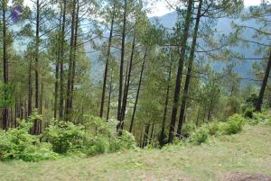 20080701 Photo 1664 1IONB4edgIHCd-TDUAN2UfmP9T9TlMVN .JPG