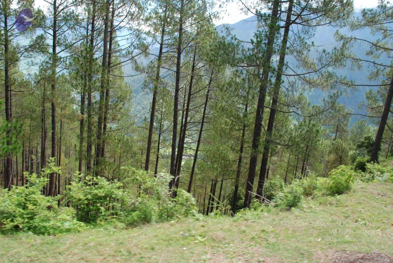 File:20080701 Photo 1664 1IONB4edgIHCd-TDUAN2UfmP9T9TlMVN .JPG