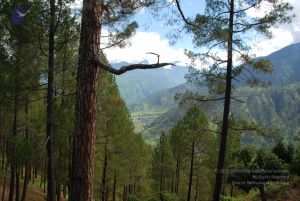 20080701 Photo 1666 1l3HnXmX9ef6cMR8IDbZFRjmnTsBJQ4CL.JPG