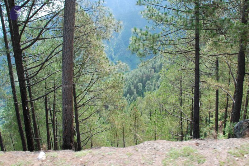 File:20080701 Photo 1670 17zDNs1a7GnV1Ozr6MRyjMR foD7FrCNJ.JPG