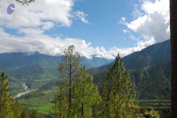 20080701 Photo 1672 13TYuVH4Cj22hBD6t0YY3YpJtnZa6V7u1.JPG