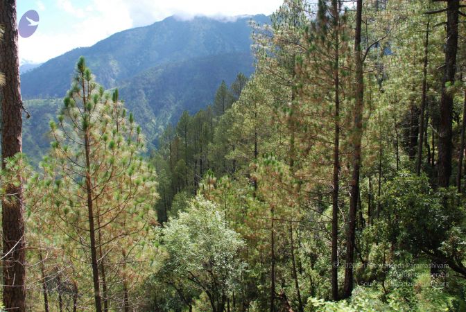 20080701 Photo 1674 19qnRWAYkMlIqI2m6KISbV6vLjqgZNeuu.JPG