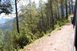 20080701 Photo 1679 1vwzMbcF16NktuqoZ mYWlEaXMWECOni5.JPG