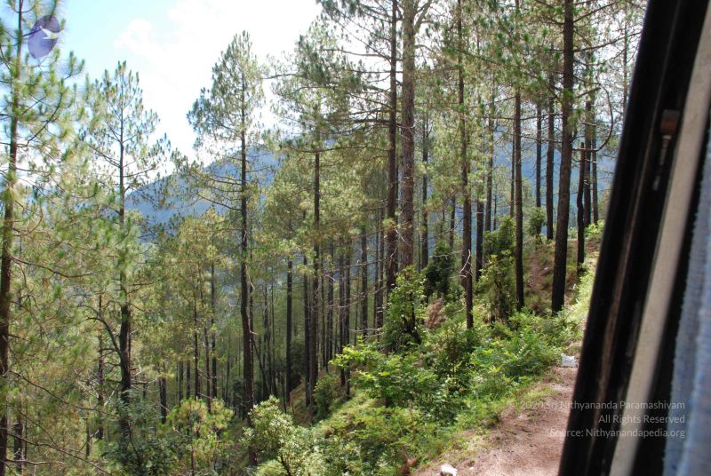 File:20080701 Photo 1680 12YQsoOV pG9WEvOhjEV wPKomltt5VUv.JPG