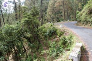 20080701 Photo 1681 1FoxQmNXCHiMWMOgdq7rETDIpvLtpKBVg.JPG