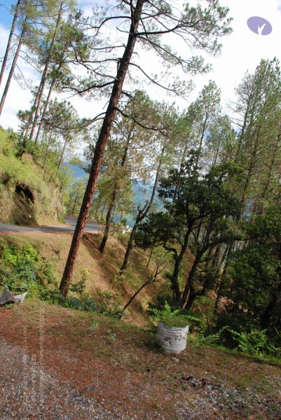 File:20080701 Photo 1684 1 2Eqy TDmLJE6CEuiMU7eqjyqm51TuTq.JPG