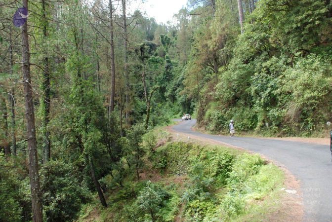 20080701 Photo 1685 1Rzez3DqqrSY5WOGdCjsPi1L6uZJdo4JB.JPG