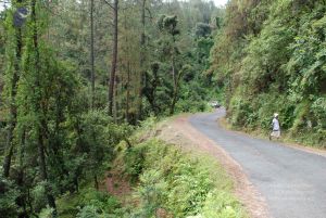 20080701 Photo 1686 1gmP5bjfZf7l Kf7XLPrXMDNH1 kBJDmQ.JPG