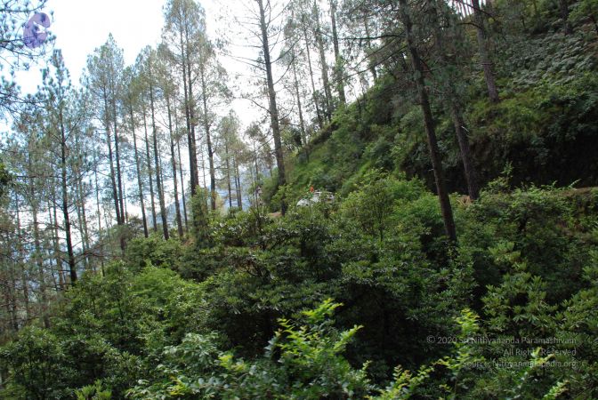 20080701 Photo 1692 1bRcM1CzR443Tuhujq6Ey 6d0GZy gE7q.JPG