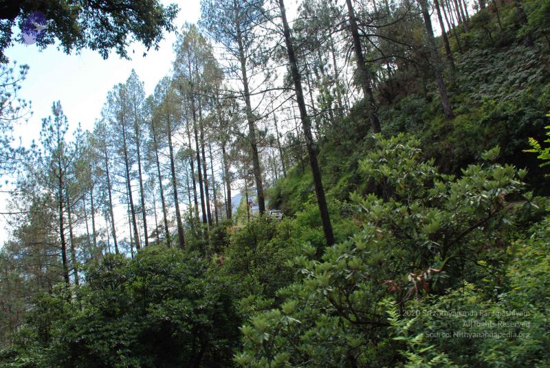 File:20080701 Photo 1693 1ARld1bbg10P0JmqQndl neFG4Qk1FUBT.JPG