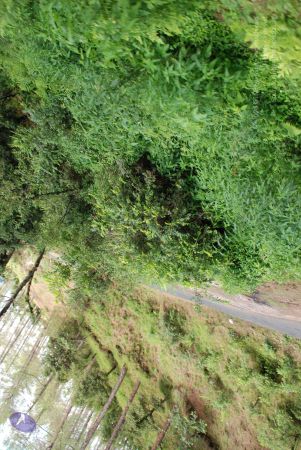 20080701 Photo 1697 1e0XoSrGGdXnFxvbLUtNeQZIeHxz4fROL.JPG