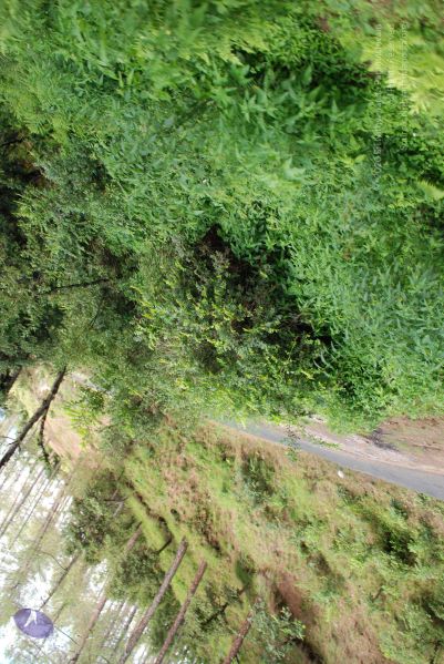 File:20080701 Photo 1697 1e0XoSrGGdXnFxvbLUtNeQZIeHxz4fROL.JPG