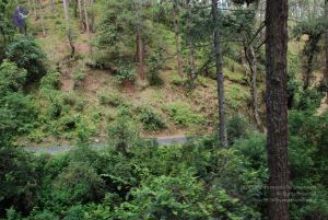 20080701 Photo 1699 1tMNr74Ic5I7u4fPH9fLmyyddZ3wtJTa2.JPG