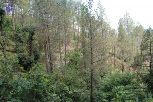 20080701 Photo 1700 143TGv9E5WFhwiqo8HzHOnKGRfw8IoS4u.JPG