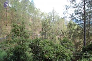 20080701 Photo 1702 1C1LMqgFmxuStvuDGgwk-y Y2QfS0FqR9.JPG