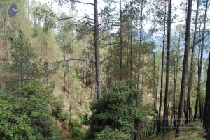 20080701 Photo 1703 1v28cRoXjYhmrjWc95dJ 090WtMWKKiVx.JPG