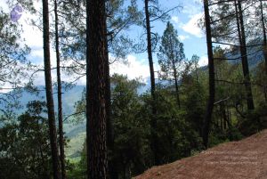 20080701 Photo 1705 13UhJMpht594ViDOUny6WRkt9MJWV4RIf.JPG