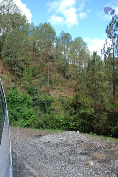 File:20080701 Photo 1708 12RcF04bNQd1HEqCf2TgHq9A8iENl-Edw.JPG