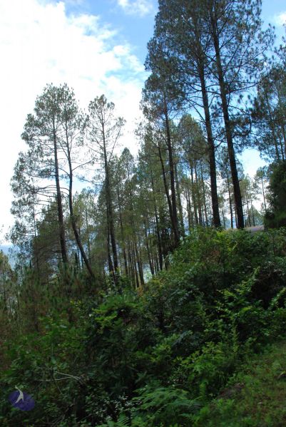 File:20080701 Photo 1709 1k16TbwpZTiRwBxNRhEQX9L-OQfmj9YjE.JPG