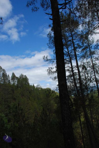 File:20080701 Photo 1713 1IGrLQdIMobqdWmvl5pJ N685jBaUMKiw.JPG