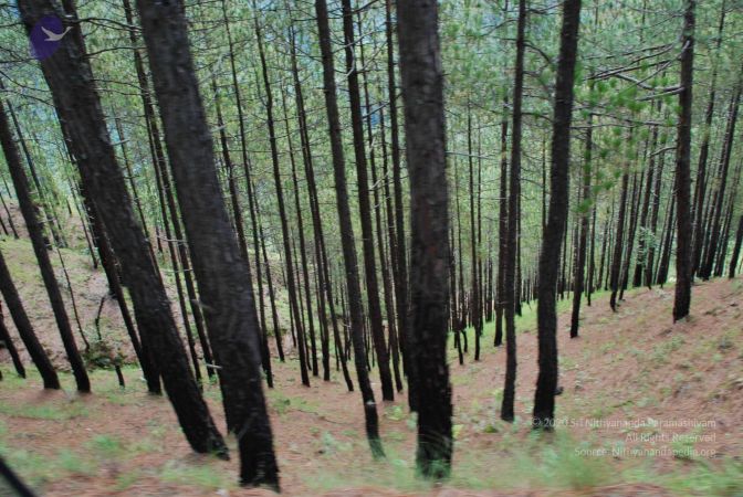 20080701 Photo 1714 1EYzdRFYGF5EafqzurYHDqLvh5EBlnpja.JPG