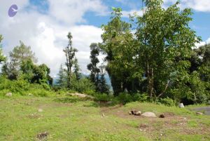 20080701 Photo 1722 1tWy-zy1V7gdWEcEq782CwQ6xkvbv-iDz.JPG