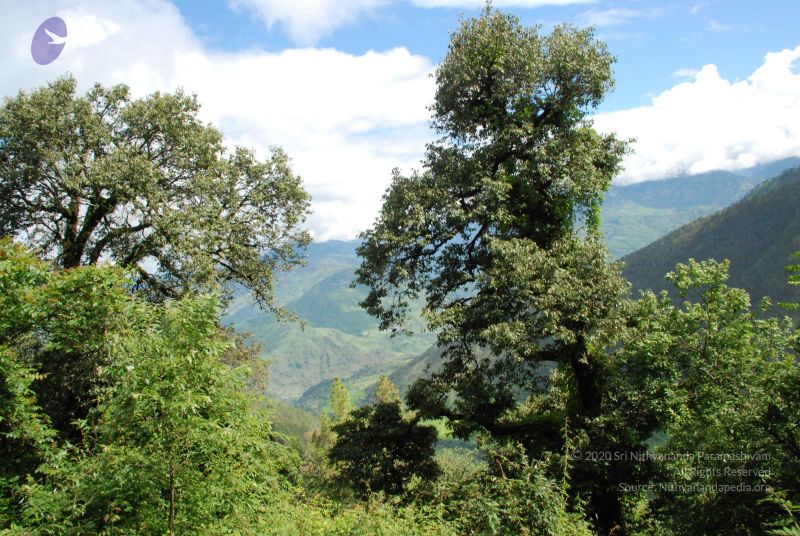 File:20080701 Photo 1725 1J6lGj6Re6BryW00Mvvbr hizHor7C8Xp.JPG