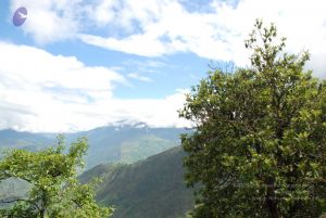 20080701 Photo 1727 1eiki0rjDmYoQR7UZAFyLbd3Xe4fzdWY8.JPG