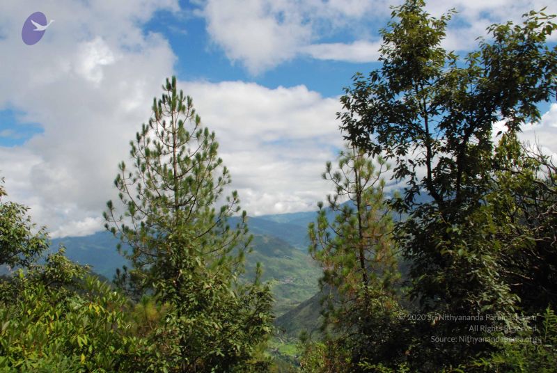 File:20080701 Photo 1728 1QniiGstmtUUDREb4Pdbul1PE NFNkK6e.JPG