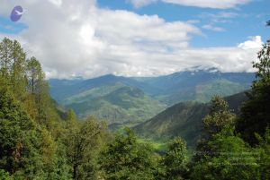 20080701 Photo 1730 1KcIXjKEdV2a440jvr2AW8OIT d4b9Lg5.JPG