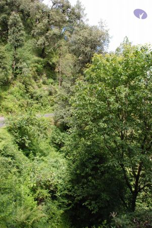 20080701 Photo 1733 1suEto7 sCEpbHfHjJo-rpNYgbof8zIsW.JPG