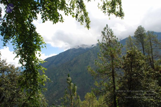 20080701 Photo 1735 14vkg0LYXuQIKVGRxdHALnOXjD6otCqxU.JPG