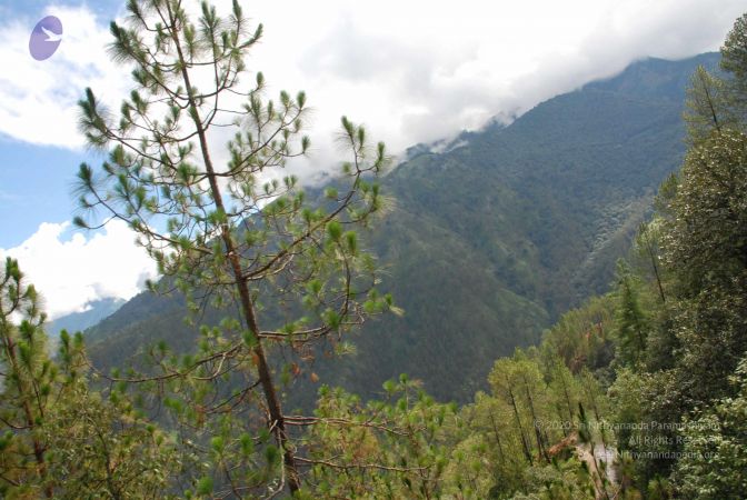 20080701 Photo 1737 1vmdGsyD8RBXyJKHh3rwQ7s70ER4HDrvo.JPG