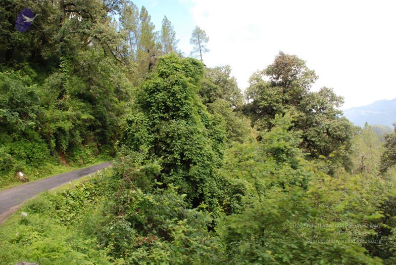 File:20080701 Photo 1740 1tuv3FnyvZRHI3oZCsHIUnVQSjahe2XNV.JPG