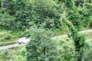 20080701 Photo 1741 1uFkwC3-7diN8v8xDyovIUR1IqXCQ3ZRL.JPG