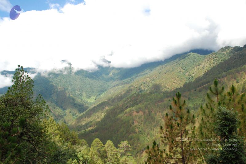 File:20080701 Photo 1778 1u9s9LLFrJNF7cI7zq80t013gVME93raj.JPG