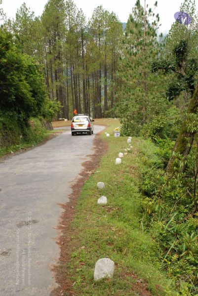 File:20080701 Photo 1784 1CnCaTd2QuztsB4dPZPIlvaxxs94YIcBR.JPG