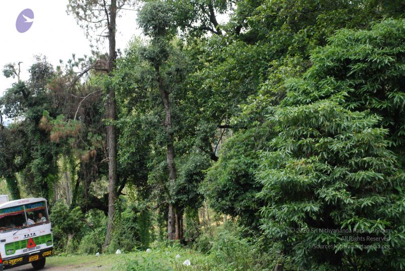 File:20080701 Photo 1794 11qSsbRdWD5slUtaXZ7ovTV40ewgnNxoA.JPG