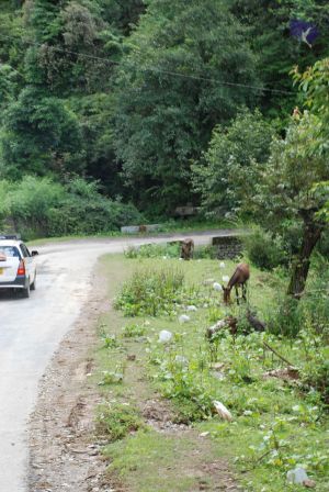 20080701 Photo 1795 1n2eBlt3-m20BFJJBcYMliDncxAIzeN-k.JPG