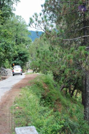 20080701 Photo 1811 1JybhlrvqwUh3lz3ibGVaNlFFGW6pDW6O.JPG