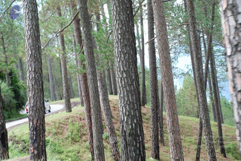 File:20080701 Photo 1813 1InWkjDskO6xFSG-nbrAhYPoB-tZLY6W0.JPG