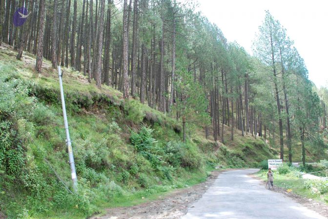 20080701 Photo 1821 1QaH579KXQXZj9pJ1s5 Riix7OfLZnc65.JPG