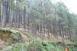 20080701 Photo 1823 1gBcjN- cnI FTbFGpw2Q9l m5shJfvuK.JPG