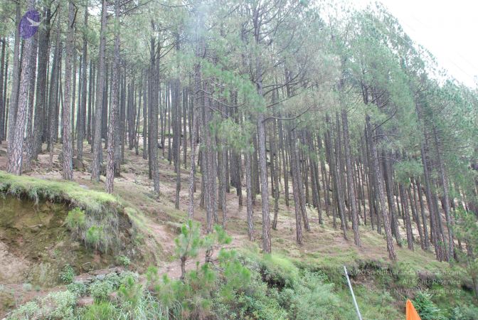 20080701 Photo 1823 1gBcjN- cnI FTbFGpw2Q9l m5shJfvuK.JPG