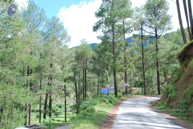 20080701 Photo 1827 1Jb1UefnKR61e9VDnr--To-dvqm4xJ0Uj.JPG