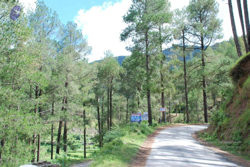 File:20080701 Photo 1827 1Jb1UefnKR61e9VDnr--To-dvqm4xJ0Uj.JPG