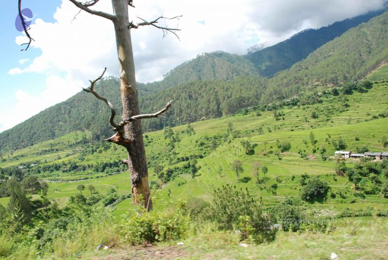 File:20080701 Photo 1834 1EzCf9lpRaUAPcNyDb0Kb5wu7SLUvkMIT.JPG